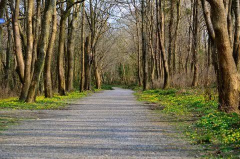 Отели типа «постель и завтрак» Amici Bistro & Accommodation Килраш-24