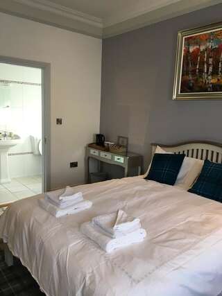Отели типа «постель и завтрак» Amici Bistro & Accommodation Килраш Двухместный номер Делюкс с 1 кроватью-2